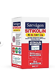 Sorvagen Sitikolin DHA Omega-3 ve B12 60 Mini Kapsül