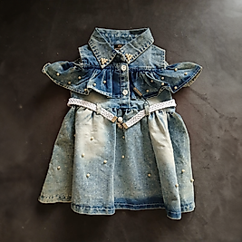 Kız Çocuk Elbise 2 Yaş